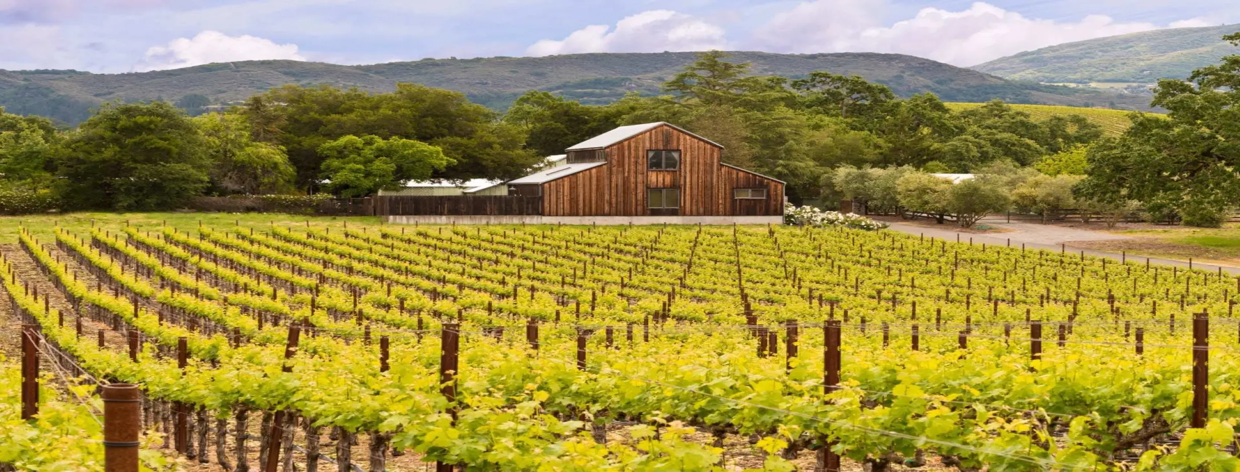Image for Wine Country Estates